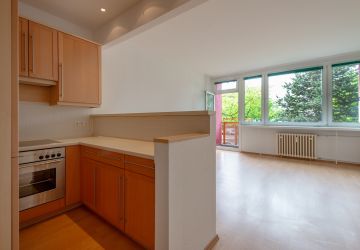 Küche mit Blick ins Wohnzimmer